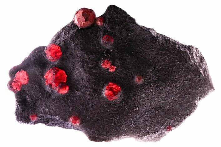 Plate of + Red Embers Garnets in Graphite - Massachusetts #375804